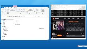 快手视频回放,精彩瞬间回顾