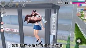 电梯梅开二度视频,梅开二度，揭秘神秘空间之旅