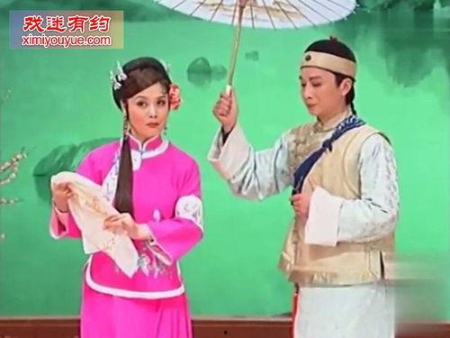 黄梅戏视频下载,传承与创新的艺术之旅