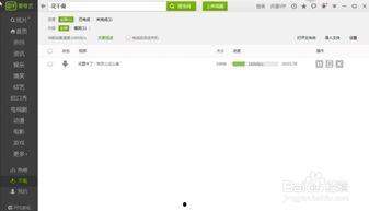 爱奇艺下载视频怎么转换格式,爱奇艺视频下载后格式转换全攻略