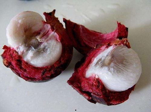 山竹视频,揭秘自然奇观背后的科学奥秘